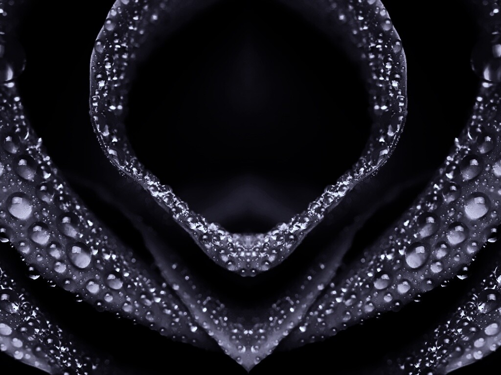 Цветочный зев обои