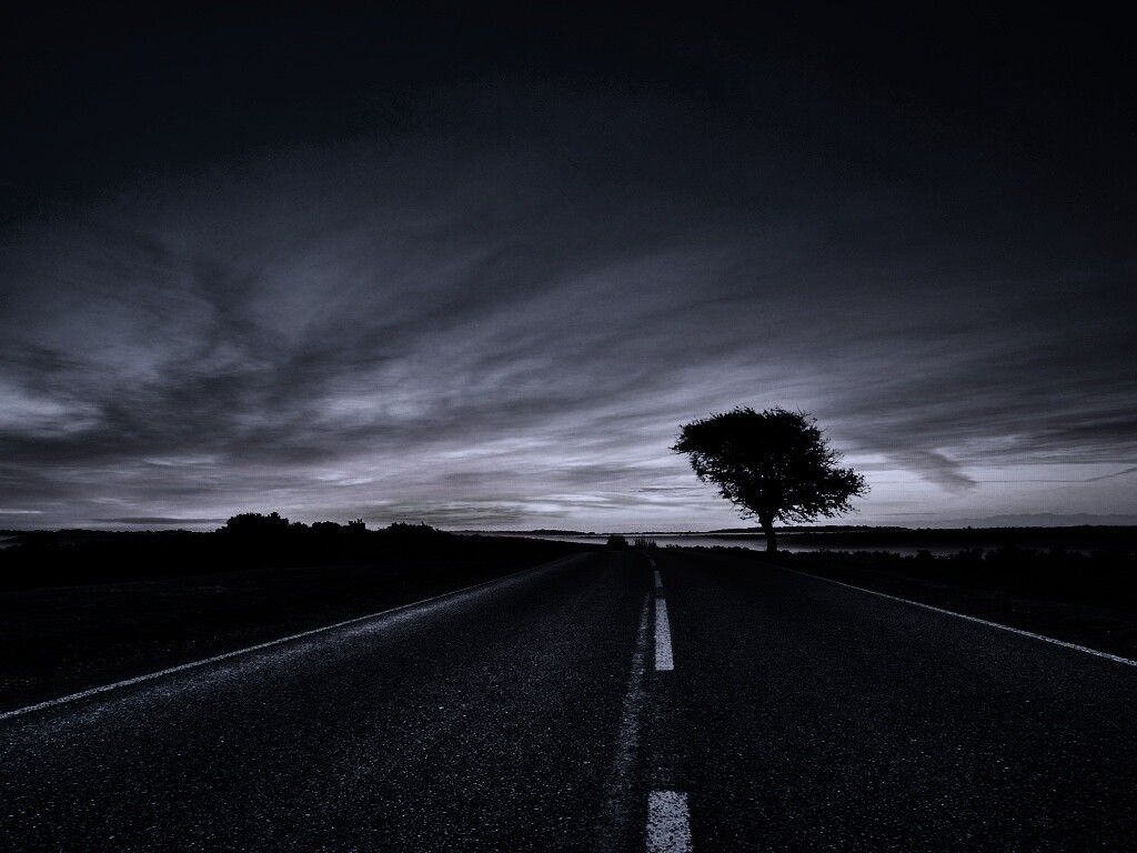 Дорога обои