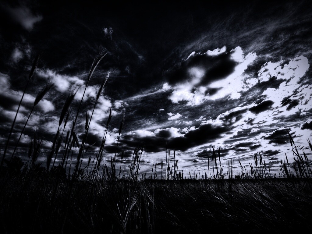 HDR Поле обои