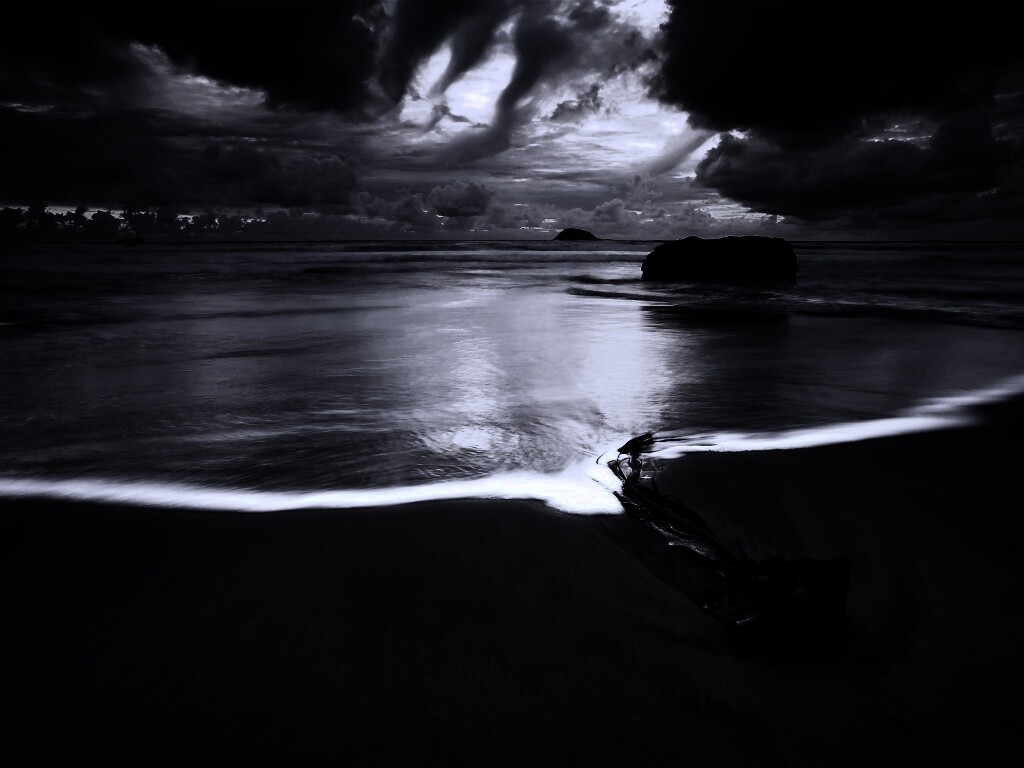 Коряга на пляже обои