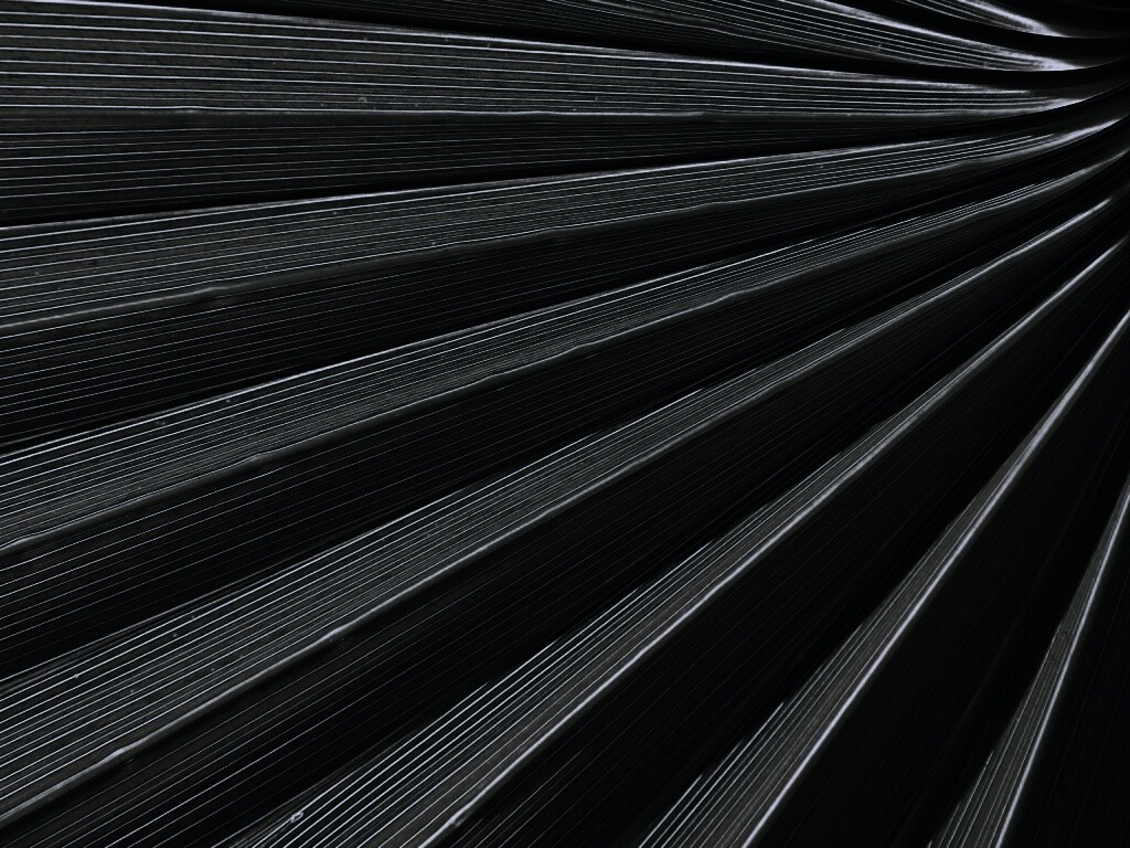 Зеленый пальмовый лист обои