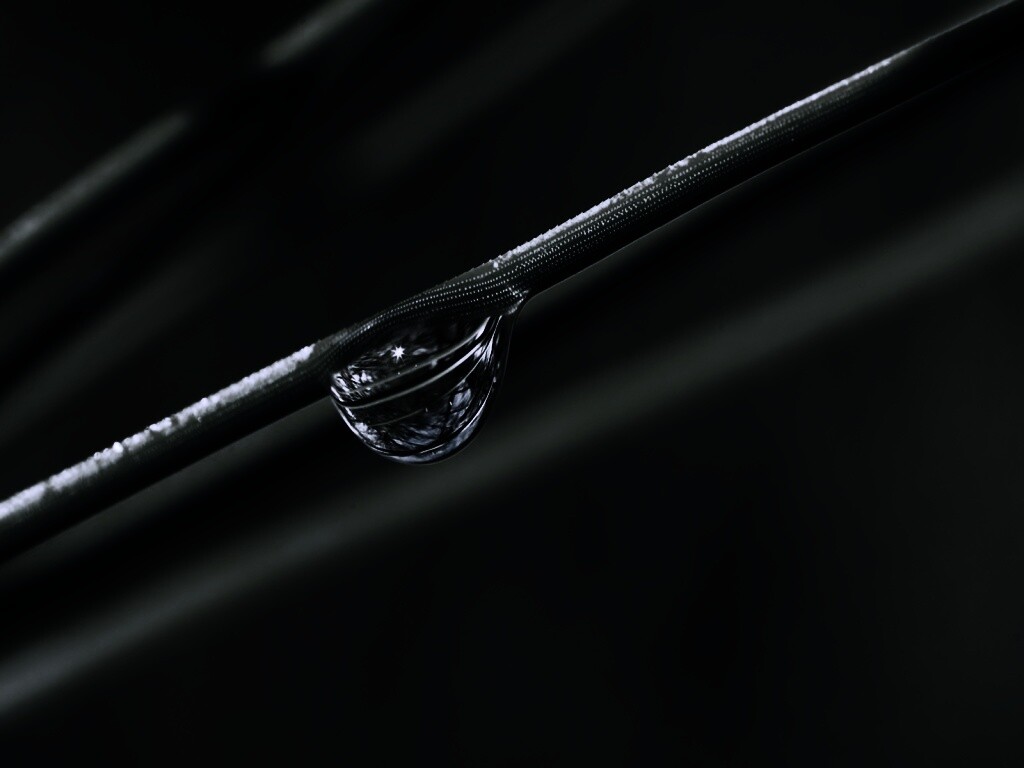 Капелька воды на стебле обои