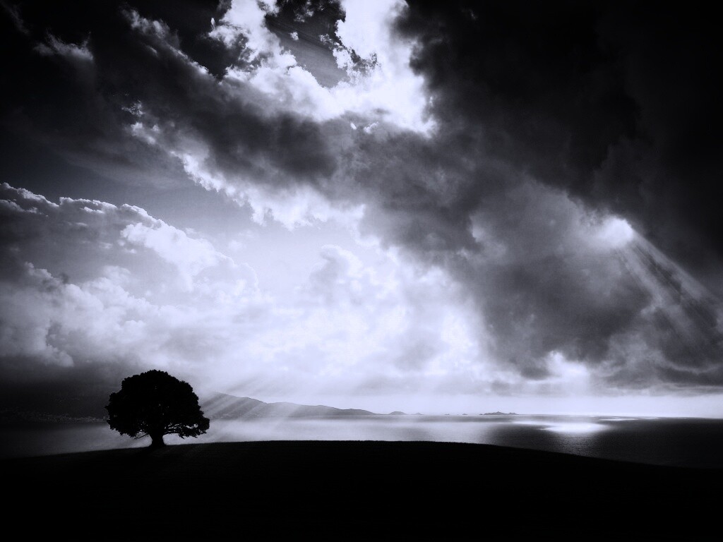 Холм и дерево обои