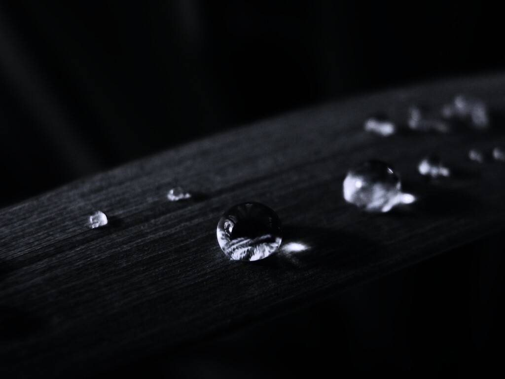 Капли росы на листе обои