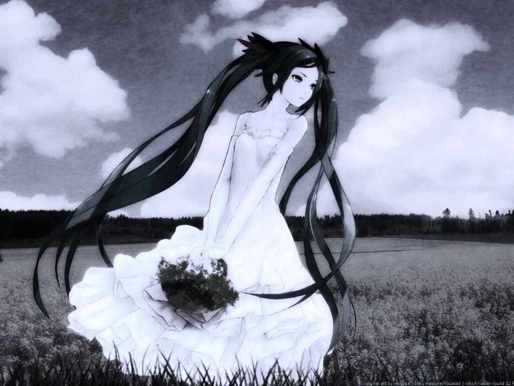 Хатсуне в поле обои