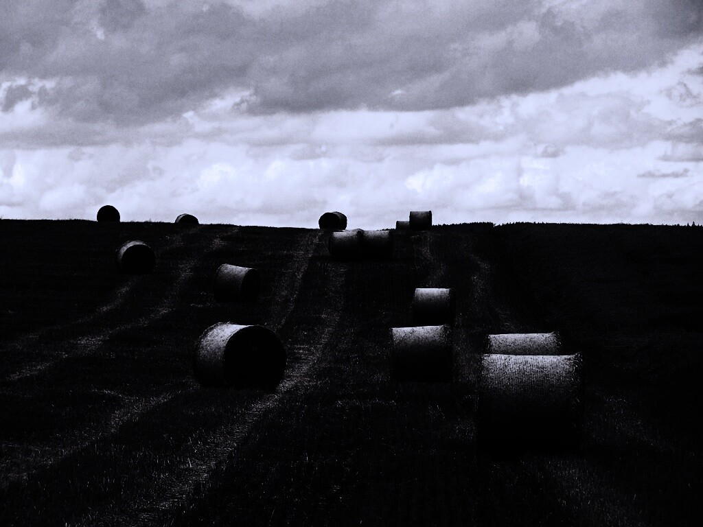 Уборка сена с поля обои