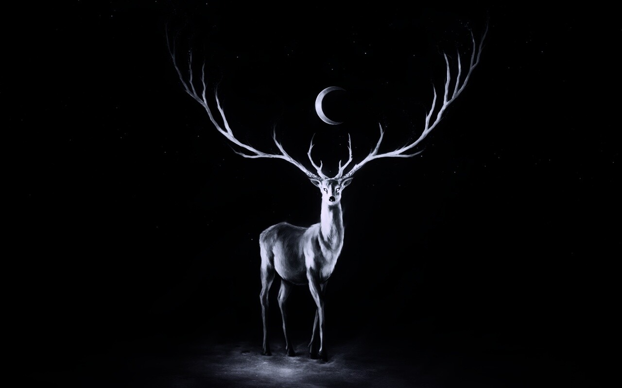 Олень в лунном свете обои