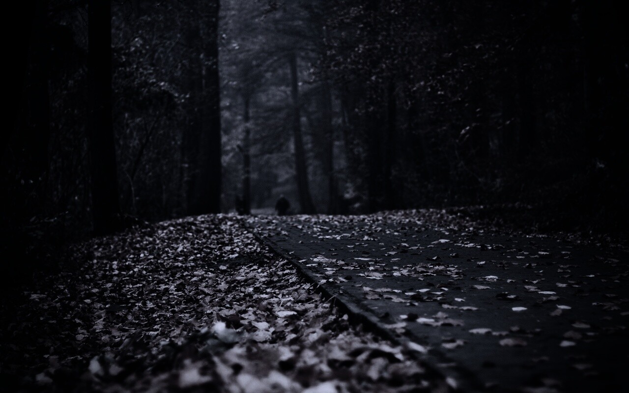 Осенняя дорога обои