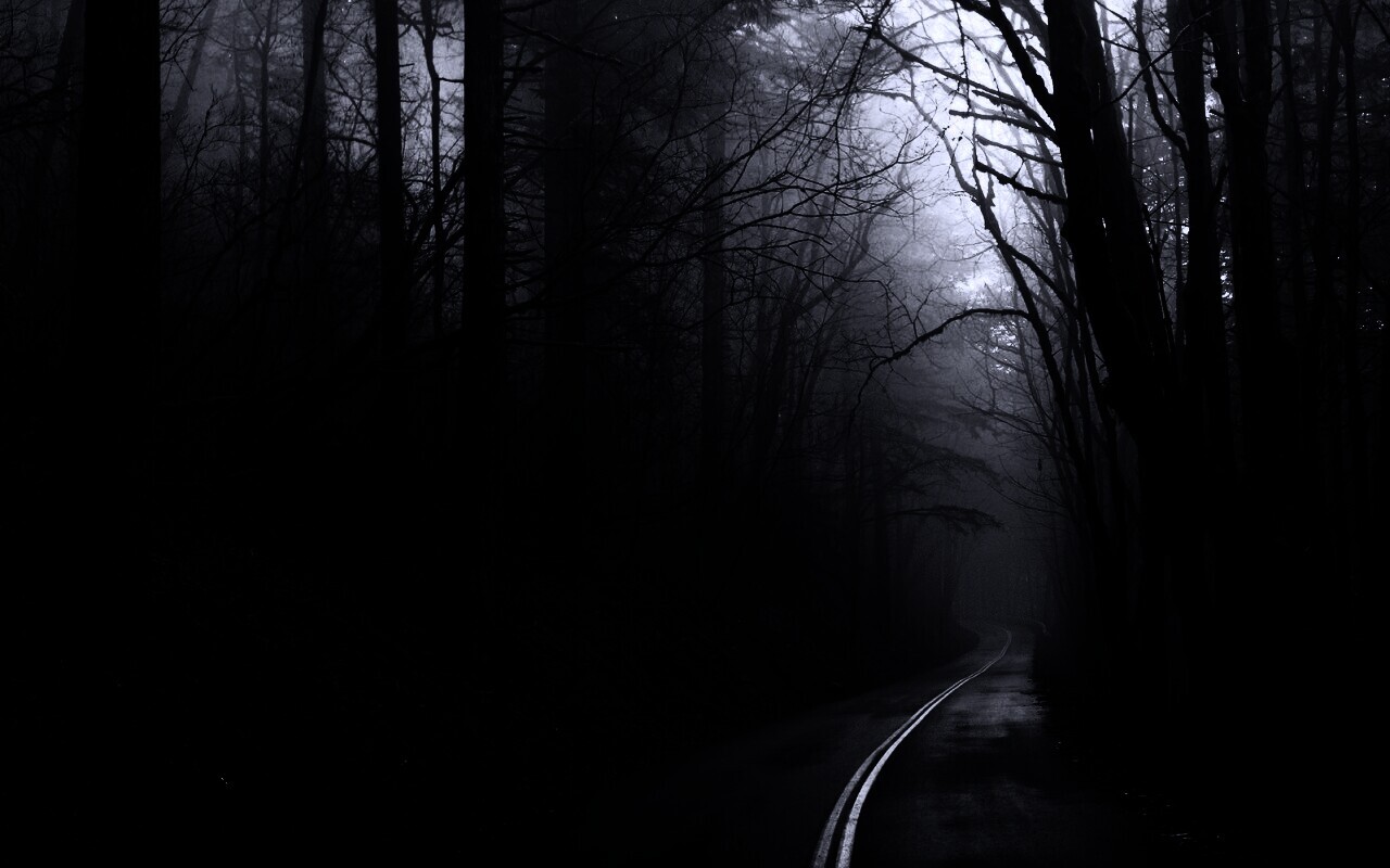 В туман обои