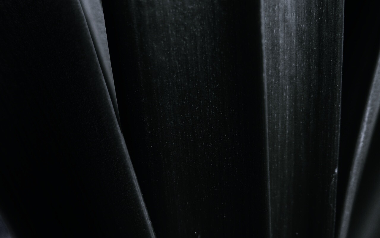 Сочная травинка обои