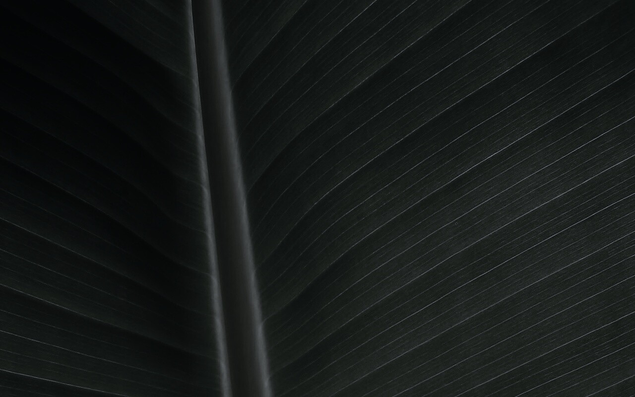 Желтый черенок листа обои