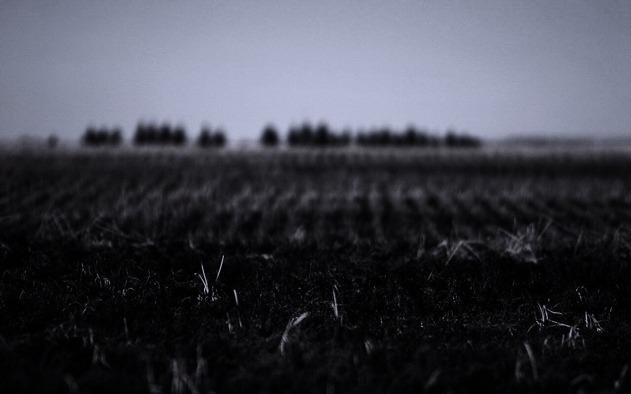 Поле перед вспашкой обои