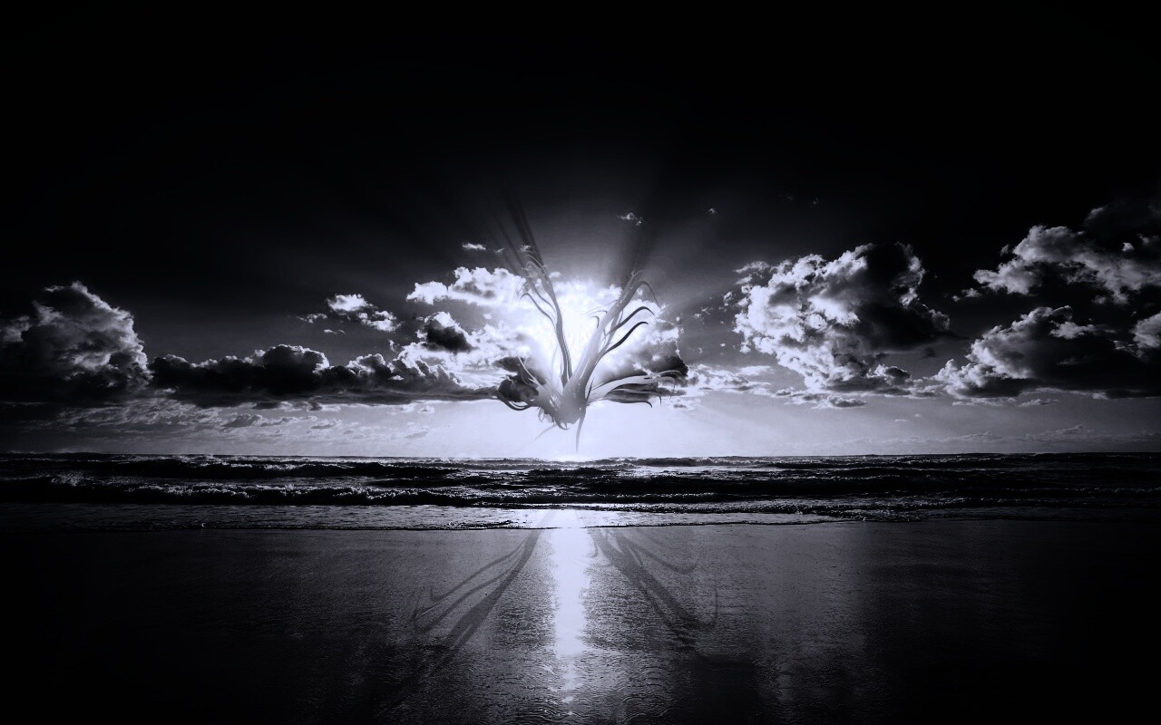 Абстрактные перья на фоне заката обои