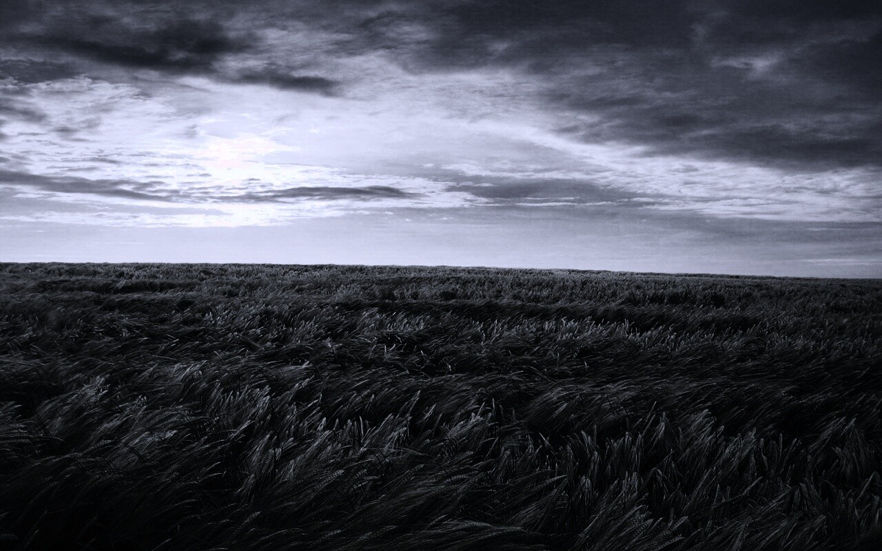 Море трав обои