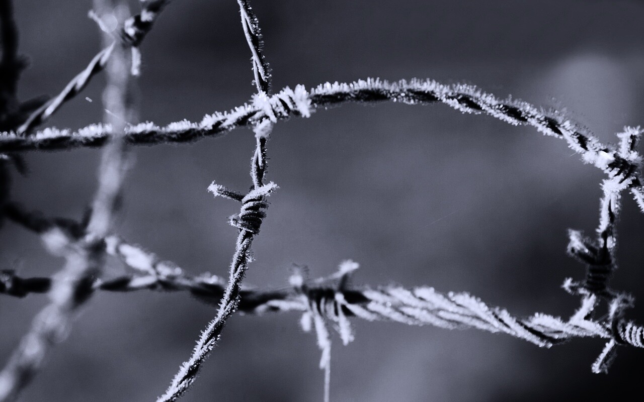 Замерзшая колючая проволока обои