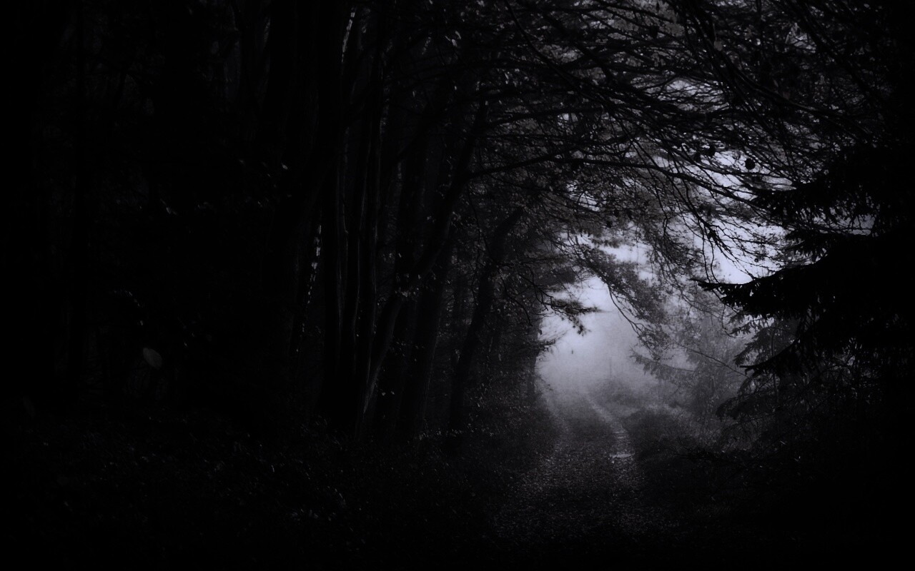 Дорожка заваленная листьями обои