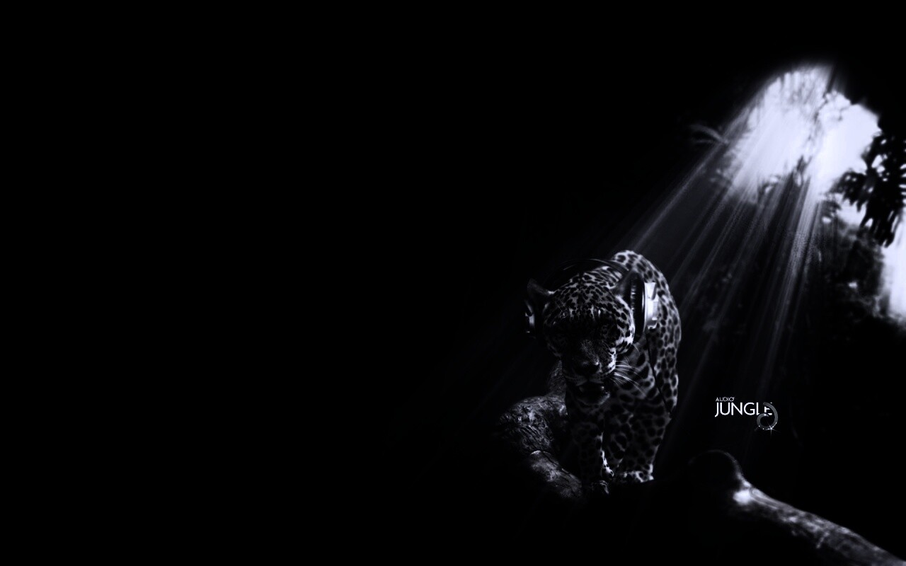 Ягуар в наушниках обои