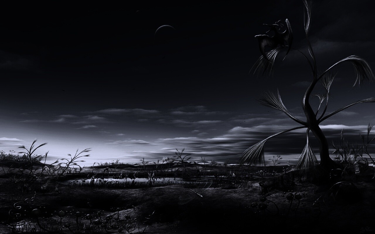 Флора и фауна другой планеты обои