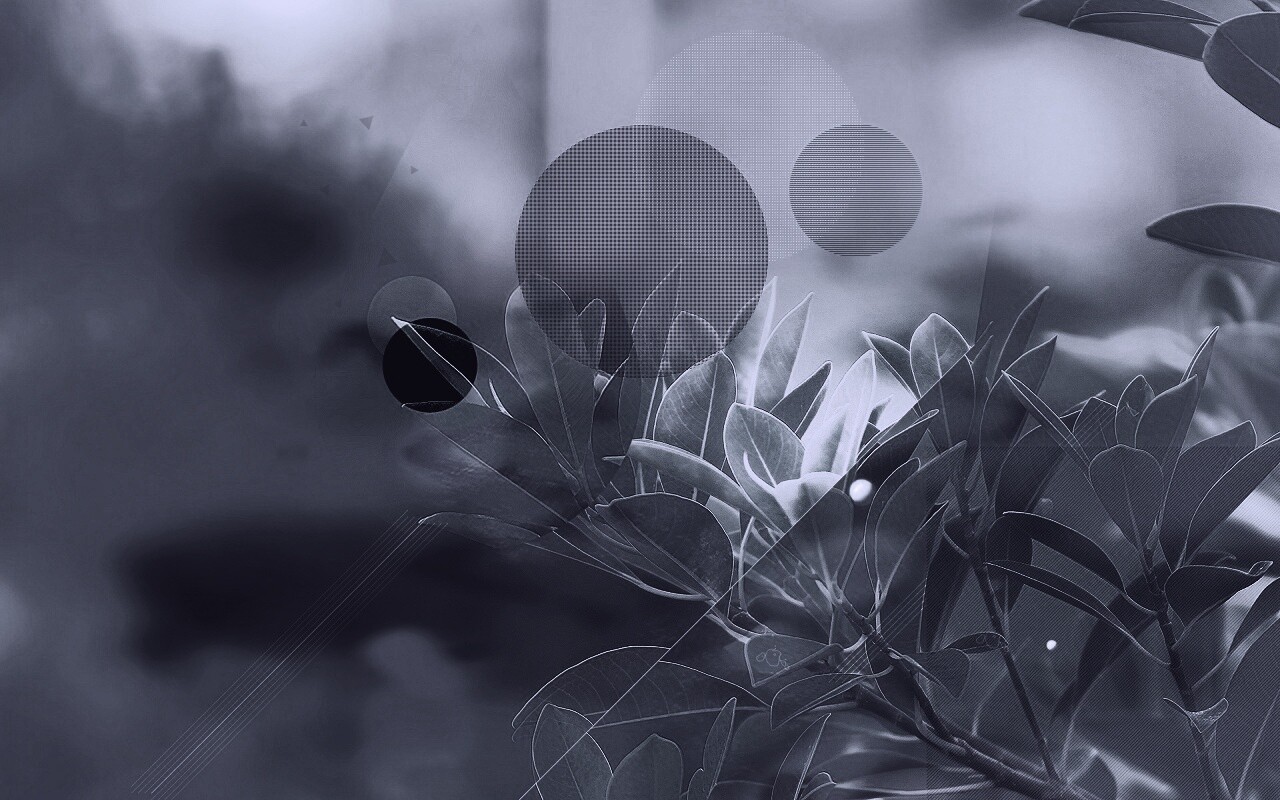 Синий фильтр с кргуами на фото листьев обои