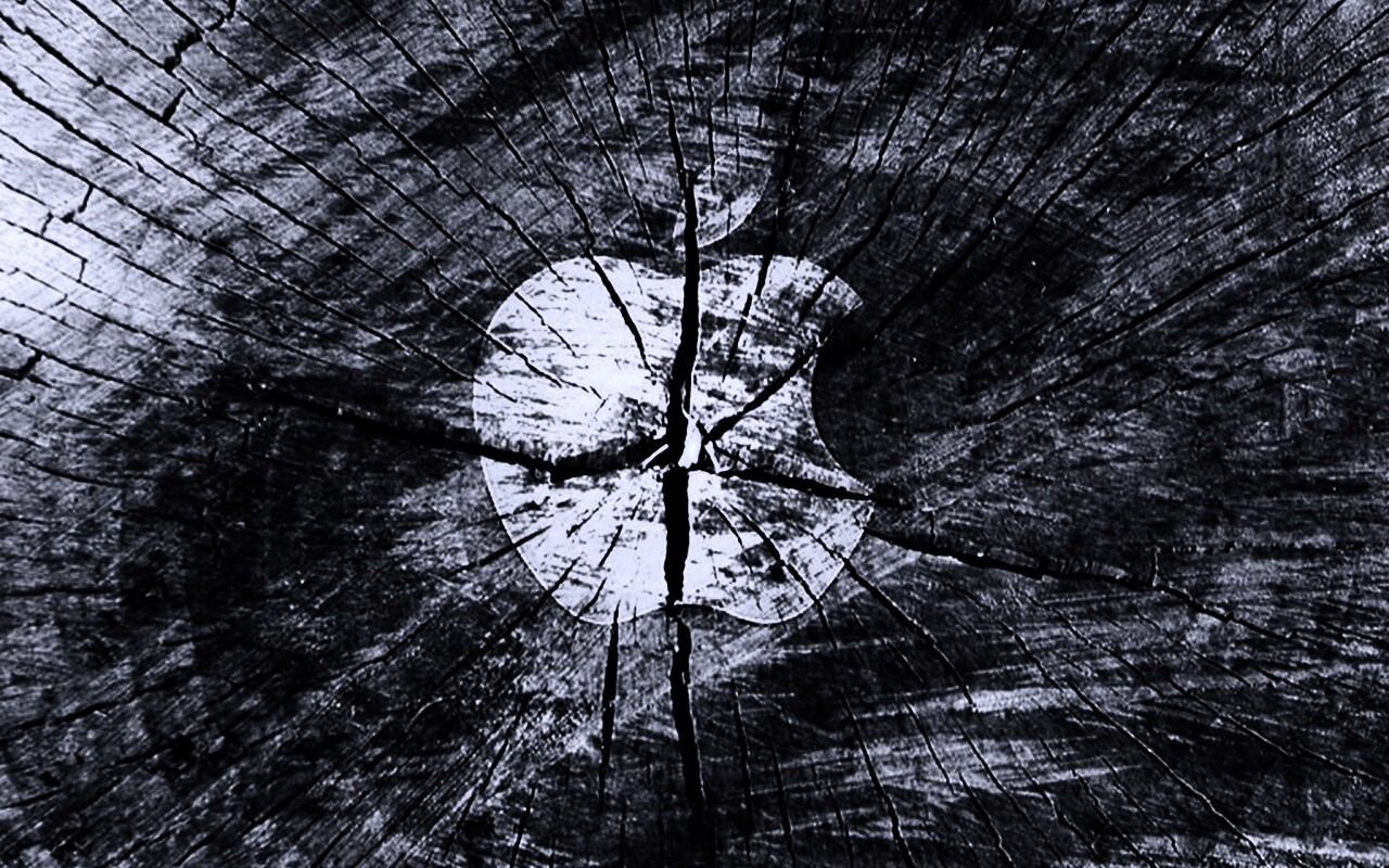 Логотип Apple на бревне обои