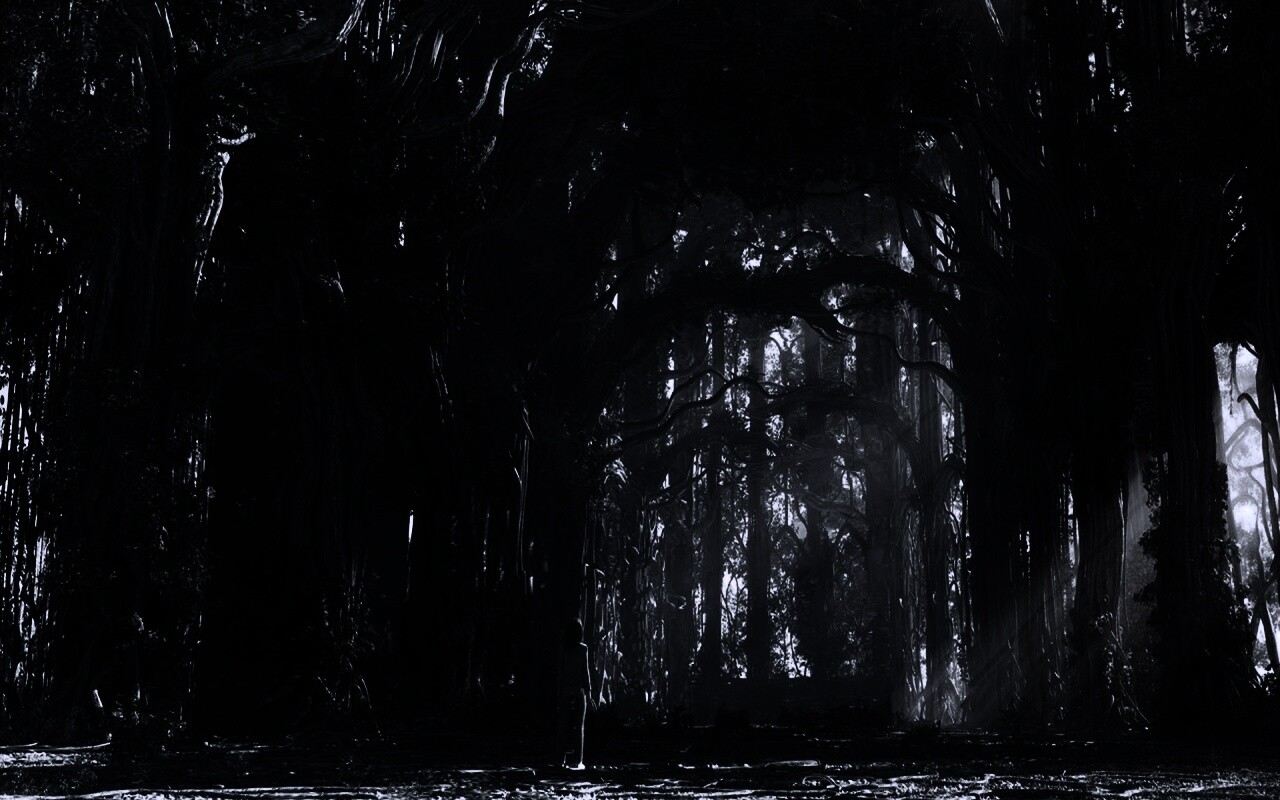 Одна в сумеречном лесу обои