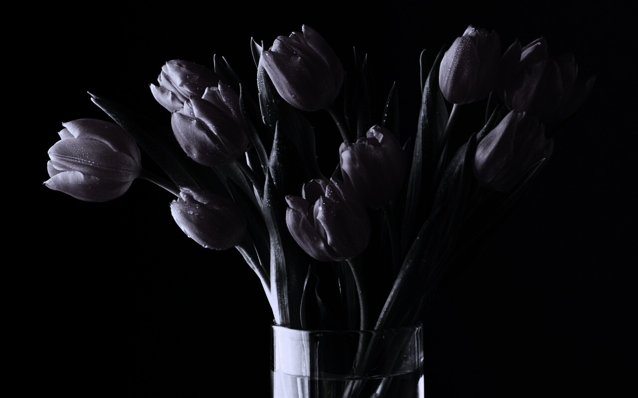 Букет тюльпанов обои