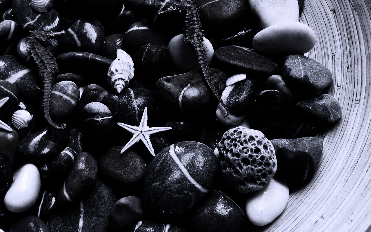 Морские камешки и фауна обои