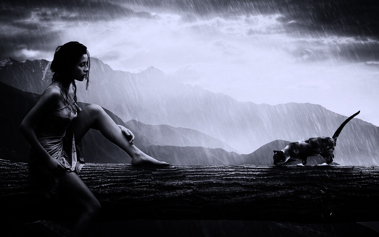 Девушка и кошка обои