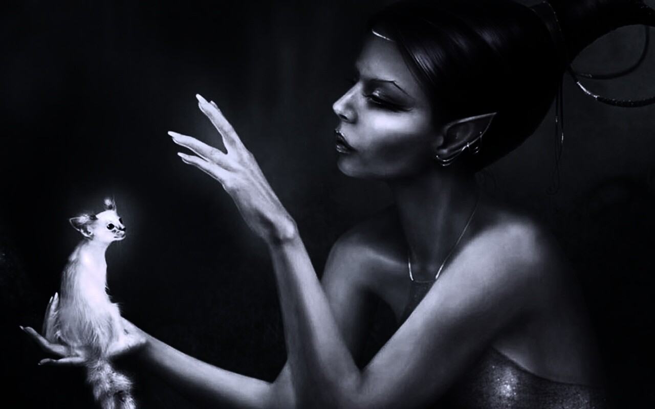 Почет и процветание обои