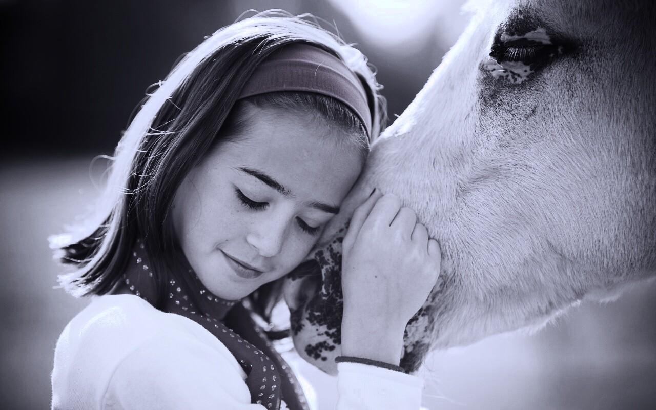 Девочка и лошадь обои