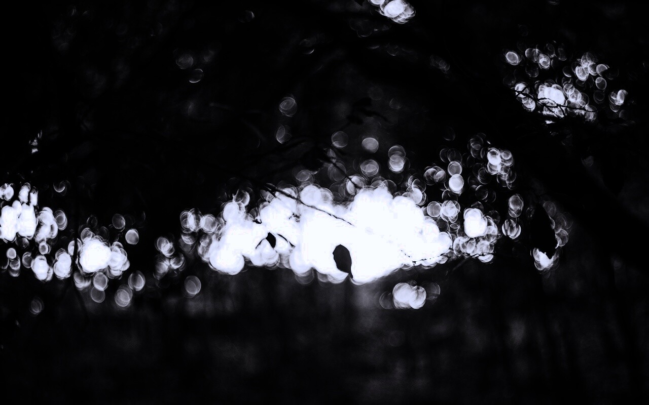 Размытый свет в парке обои