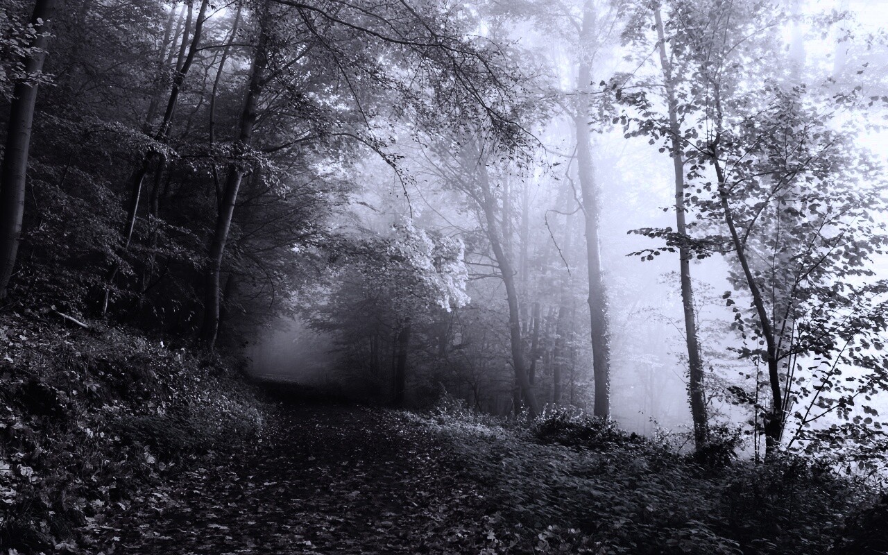 Осенний мистический пейзаж обои