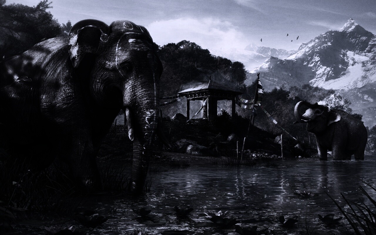 Слоники у воды обои