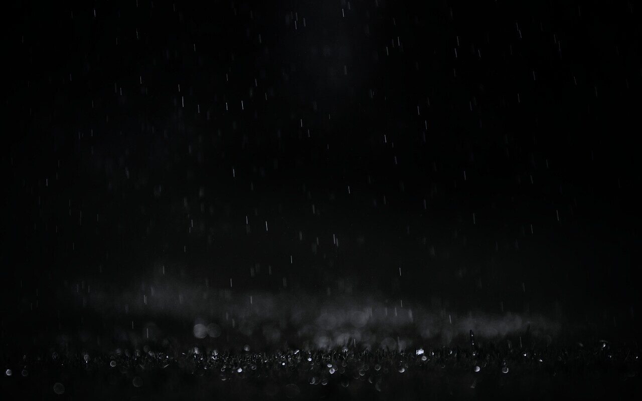 Трава под дождем обои