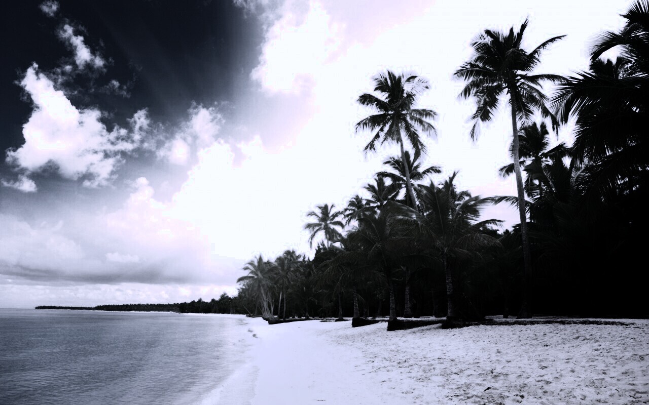 Тропическое побережье обои