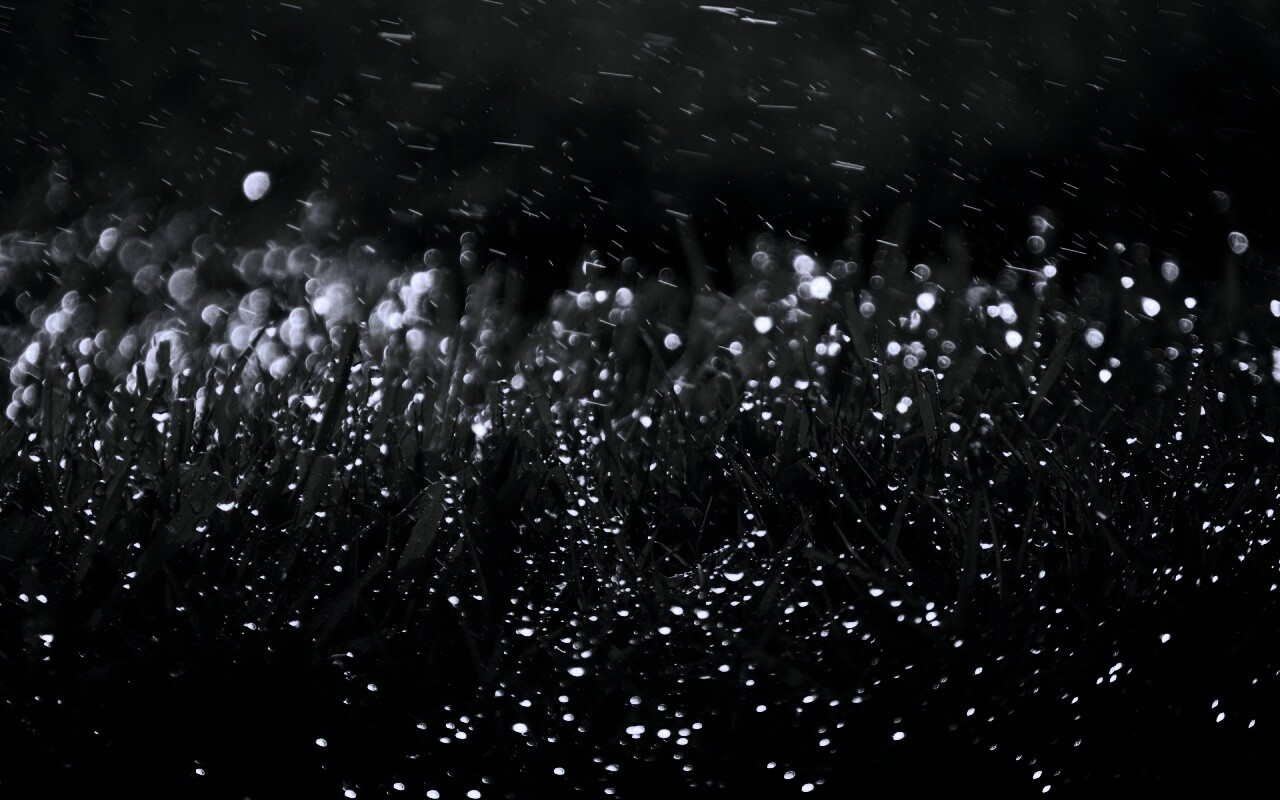 Роса на траве обои