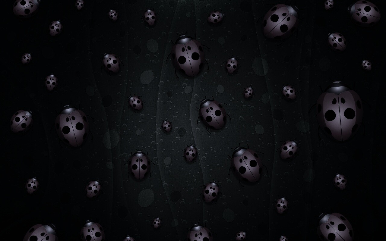 Божьи коровки обои