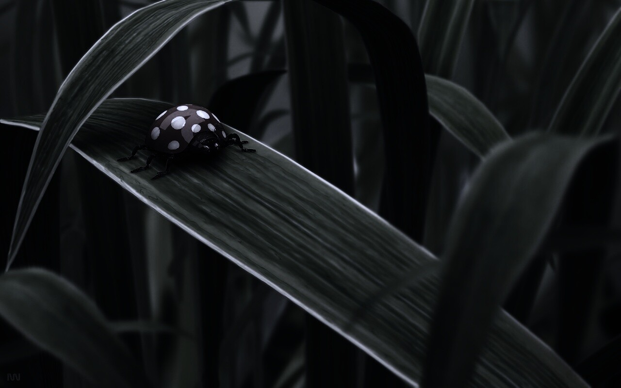 Милая божья коровка робот обои