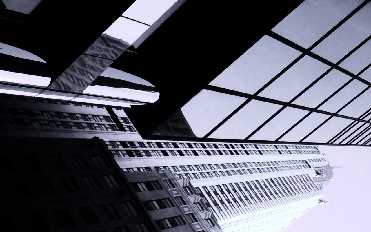 Взгляд вверх обои