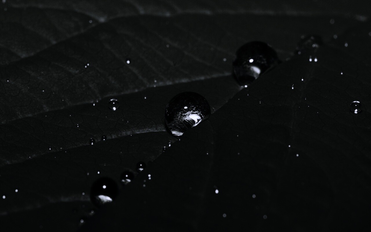 Капли на листе обои