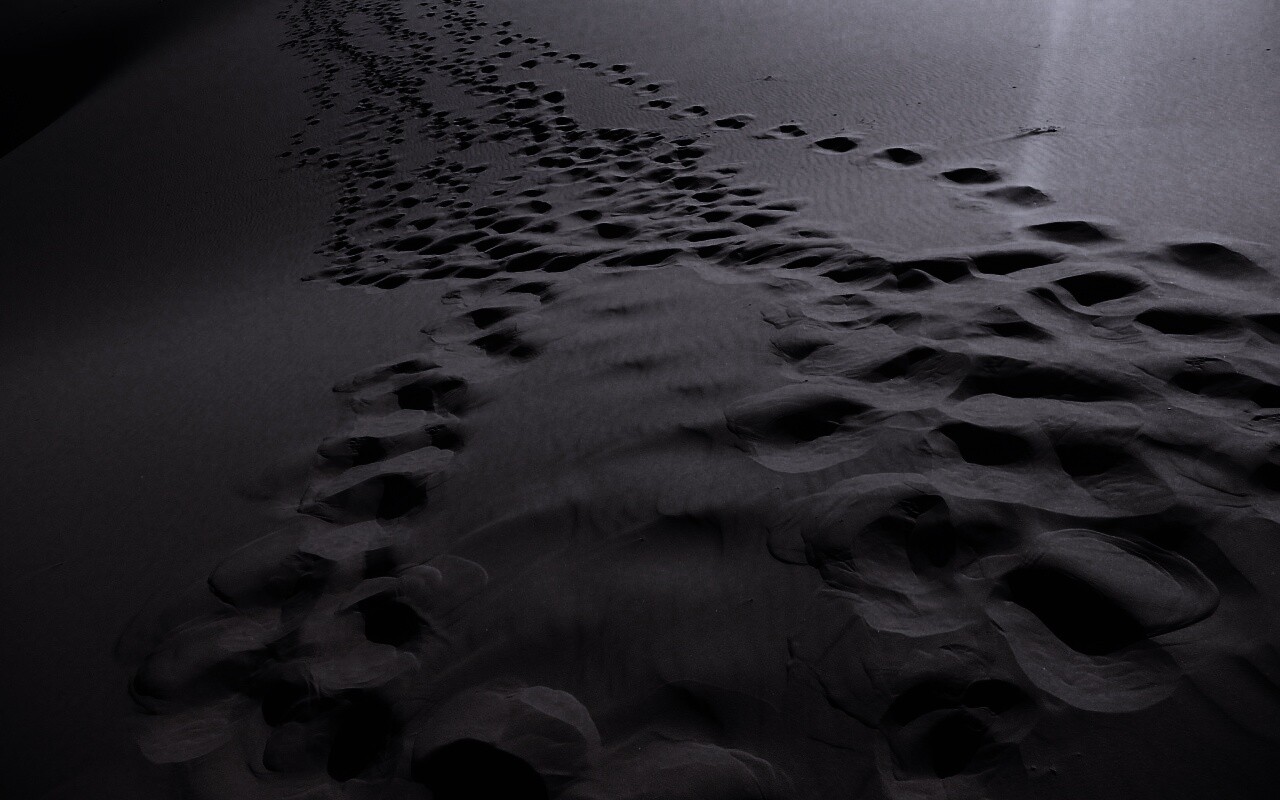 Следы в пустыне обои