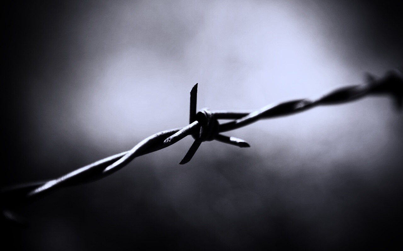 Фото колючей проволоки обои