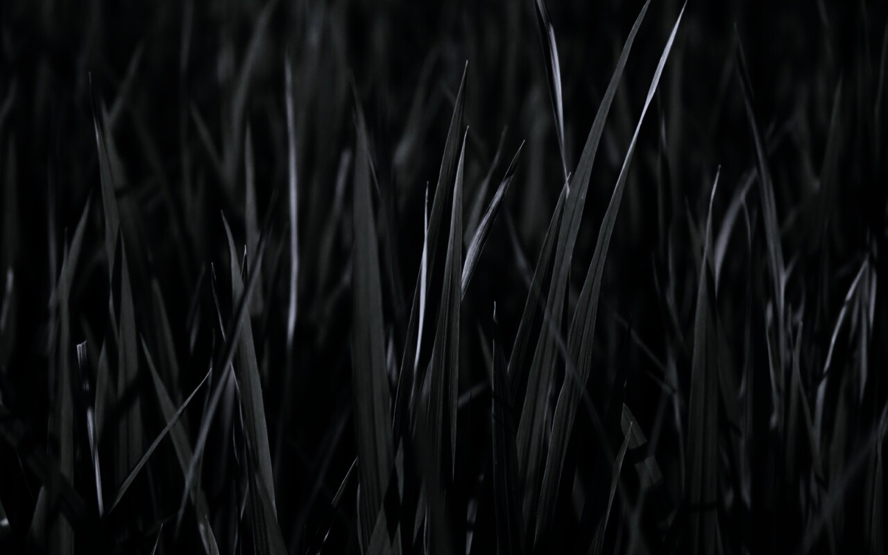 Яркая сочная трава обои