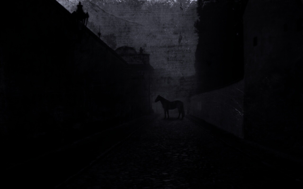 Лошадь в тумане обои