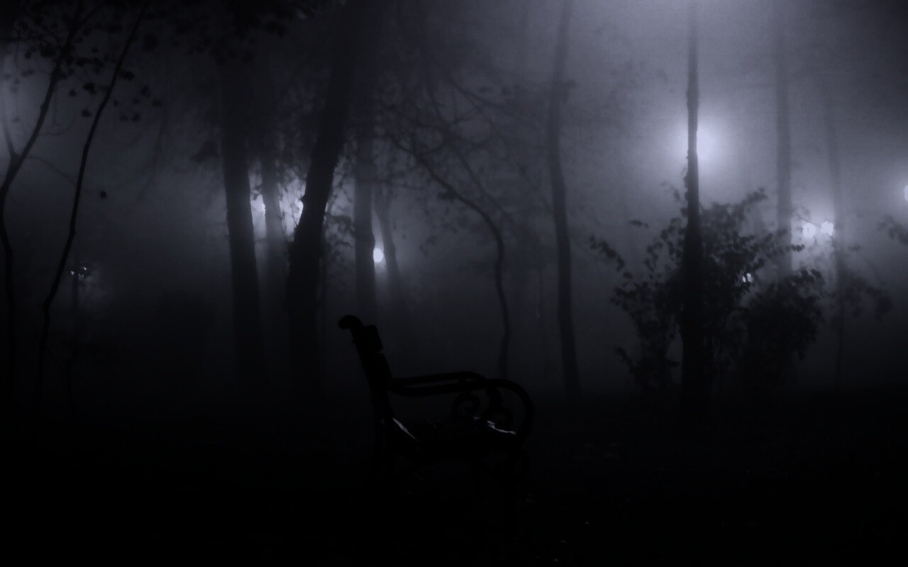 Темный лес обои