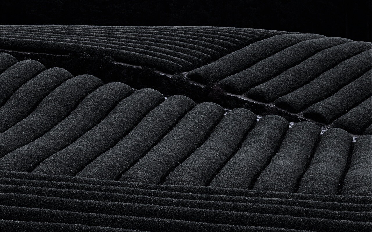 Красивые гряды обои