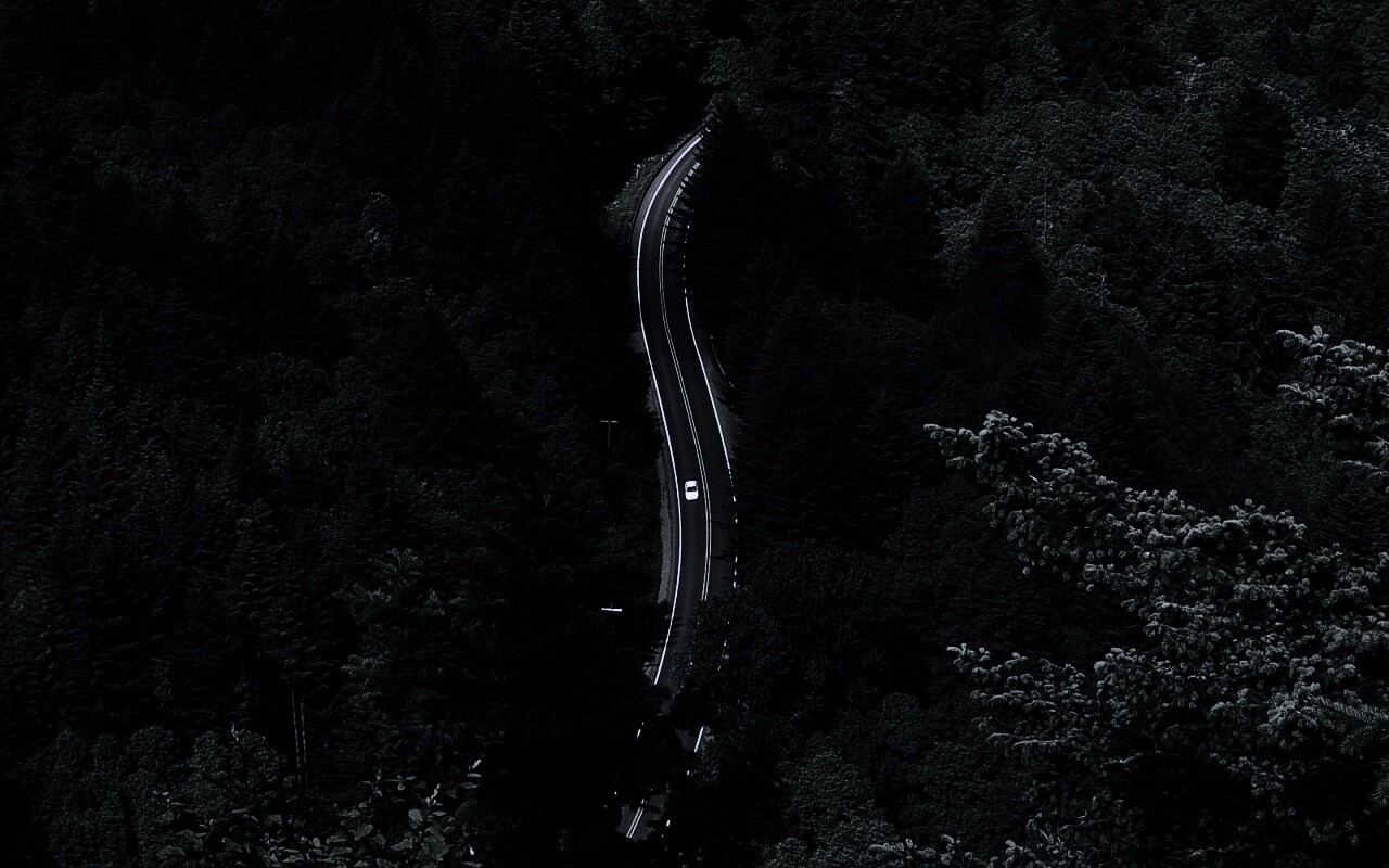 Лесная трасса обои