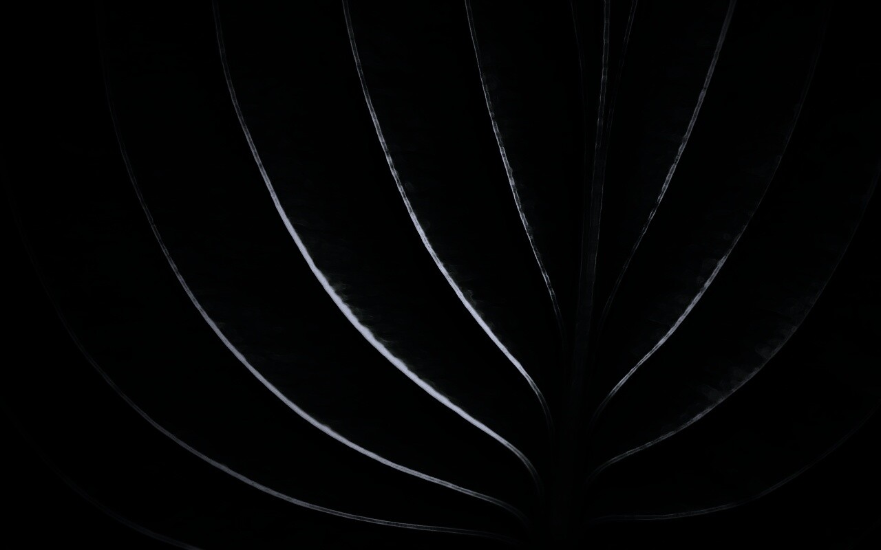 Неоновый лист обои