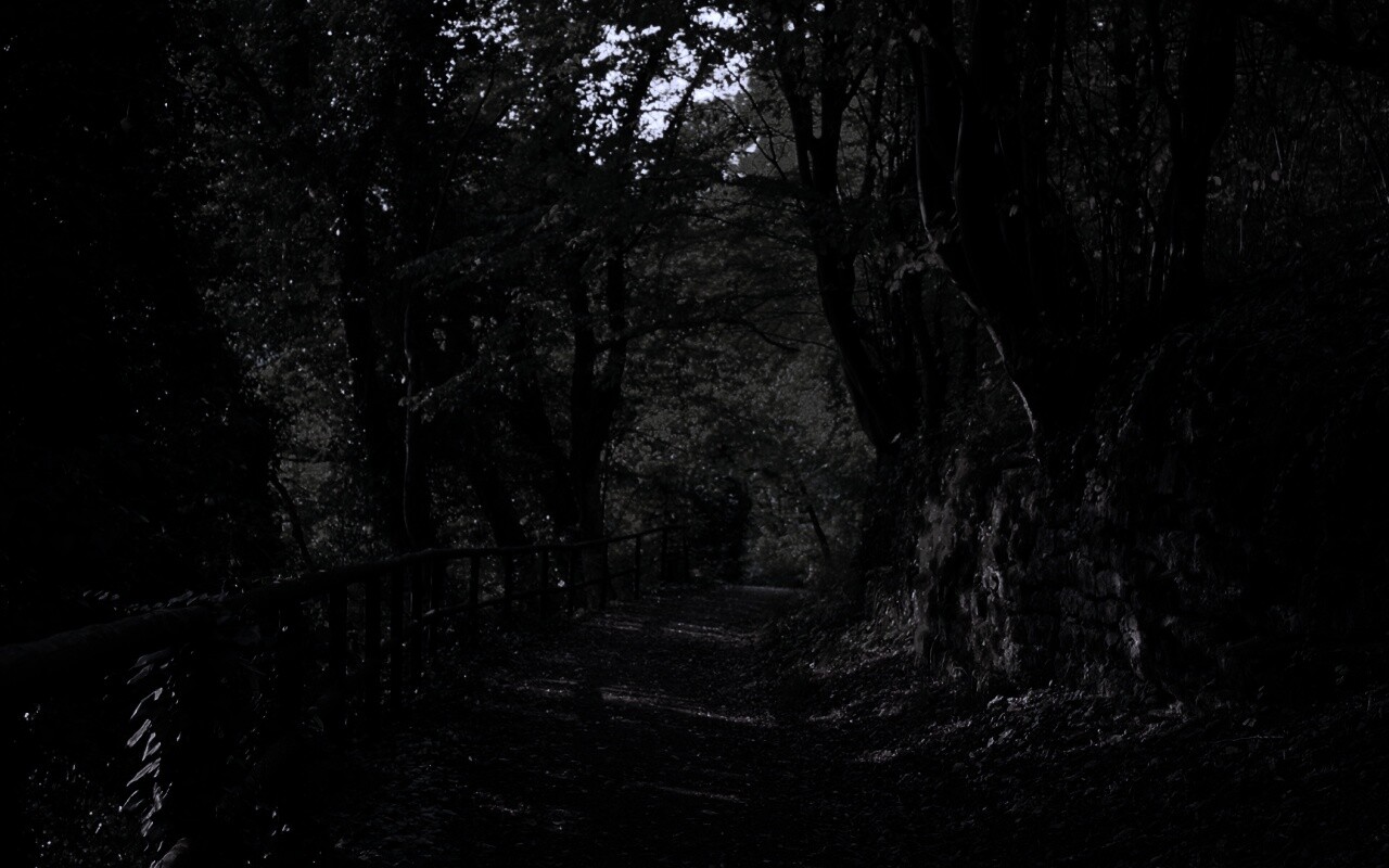 Лесная дорожка обои