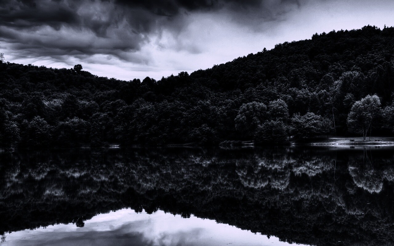 Лесной берег обои